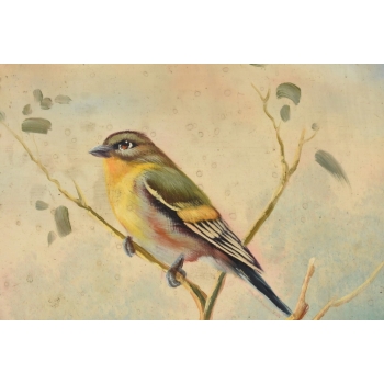 Trzy Kolorowe Ptaki Na Gałęzi - Ptaszki - Obraz Olejny Złota Zdobiona Rama