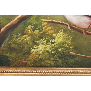 Trzy Kolorowe Ptaki Na Gałęzi - Ptaszki - Obraz Olejny Złota Zdobiona Rama