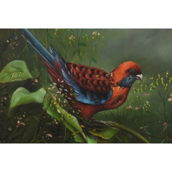 Piękna Kolorowa Papuga Na Gałęzi - Obraz Olejny - Złota Zdobiona Rama