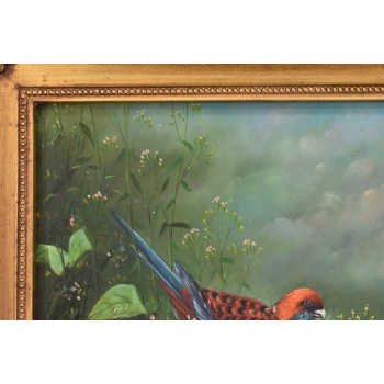 Piękna Kolorowa Papuga Na Gałęzi - Obraz Olejny - Złota Zdobiona Rama