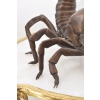Figura Skorpiona - Skorpion Rzeźba z Brązu - Dekoracje Ozdoba Dom Ogród
