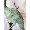 Wielki Kolorowy Paw FONTANNA z Brazu - Figura Dostojnego Pawia 125cm