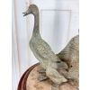 Rodzina Kaczek - 4 Kaczki Kaczka Komplet - Figura z Brązu - Prezent